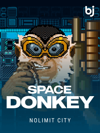 Space Donkey game thumbnail